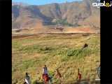 اسب سواری زیبای در طبیعت