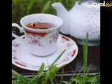 و چای دغدغه عاشقانه خوبیست،برای من،برای تو️