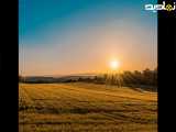 عکس طبیعت برای استوری 49