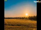 عکس طبیعت برای استوری 4566