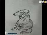کشیدن سه سوته سگ|نقاشی|طراحی