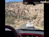 سفر به سرزمین گوزن ها