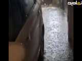 تصاویری از بارش شدید باران بامدادی در نوشهر