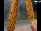 شهر گیلان و زیبایی هایش