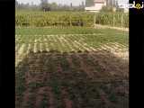 طبیعت سبز کشاورزی ارومیه