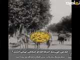تهران در ۹۸ سال پیش