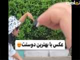 چند ژست ناب برای عکس با رفیق صمیمی