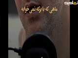 توضیح زندگی روزانه انسان ها