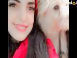 صحنه های دیده نشده از حیوانات