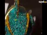 درست کردن آفتاب پرس