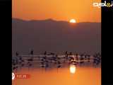 طلوع آفتاب در دریاچه مهارلو