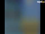 میوه ها در قدیم چه شکلی بودن حدس بزن و لایک کن