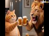 ویدیو |طنز حیوانات|کلیپ های جالب|حیوانات|داستان گربه و شیر در جنگل