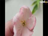 گل چینی: شکوفه به