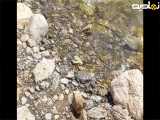 اَزنا یه شهر در ایران