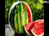 ترفندی برای ۱۰۰درصد عسل شدن هندوانه
