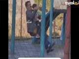 کلیپ زیبا و طنز از بازی کردن پدر و بچه اش در پارک