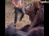 خرس آبنبات ::جالب .. مستند