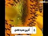 مطالبی حیرت آور درباره گل ها (بالاترین سطح ارتعاش رو رو گل ها دارن)