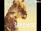 مســــتند سریالی سرنگتی Serengeti فصل 1 قسمت 1 دوبله پـــارسی