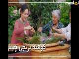 زونگزی سنتی: یه عالمه عشق، با خانواده! ( کوفته برنجی چینی )