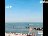 زیبایی خلیج فارس و ببینید