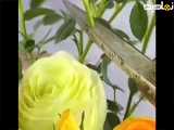 با این ترفند کلی گل رز تکثیر کنید به راحتی