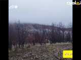 طبیعت دیدنی کوه نواکوه.....