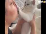 گربه ها از بوس بدشون میاد؟