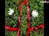 آموزش سبزه عید زیبا