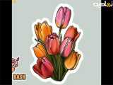 آموزش نقاشی کشیدن گل لاله