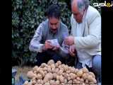 فیلم طنز قدیمی که امروز به حقیقت تبدیل شده