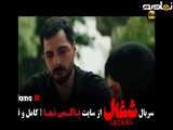 تیزر قسمت ۲۳ سریال شغال