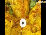 مرغ پرتقالی دلربا