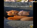 برنامه کودک شاد برای بچه ها