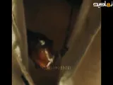 کلیپ موزیک غمگین از سریال بامداد خمار با آهنگ محسن چاووشی