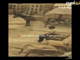 رحیم نجار در سریال بامداد خمار|خداروشکر محبوبه کم عقل ندید|میکس سریال های ایرانی