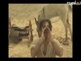 آهنگ جدید محسن چاوشی به نام رود سوخته ( بامداد خمار )