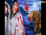سیسترلی|نصف شب یک حیوان وحشی بهمون حمله کرد