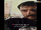 سریال شغال اوا کامیار