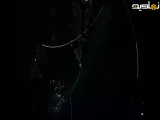 هشدار مهم ایران، در برنامه آقای تحلیلگر
