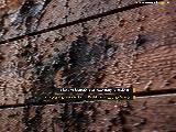 محافظت از نمای ترموود در برابر باران و آلودگی | انتخاب رنگ وودگارد WOOD.guard